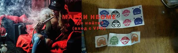 индика Алексин