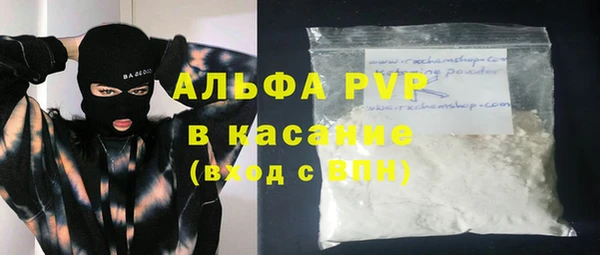 индика Алексин
