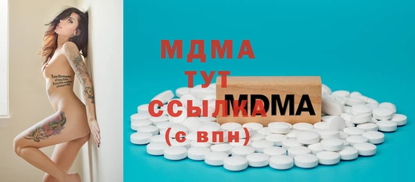 индика Алексин