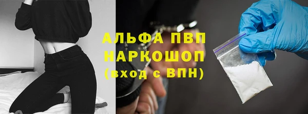 индика Алексин