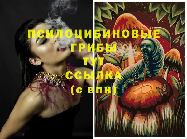 индика Алексин